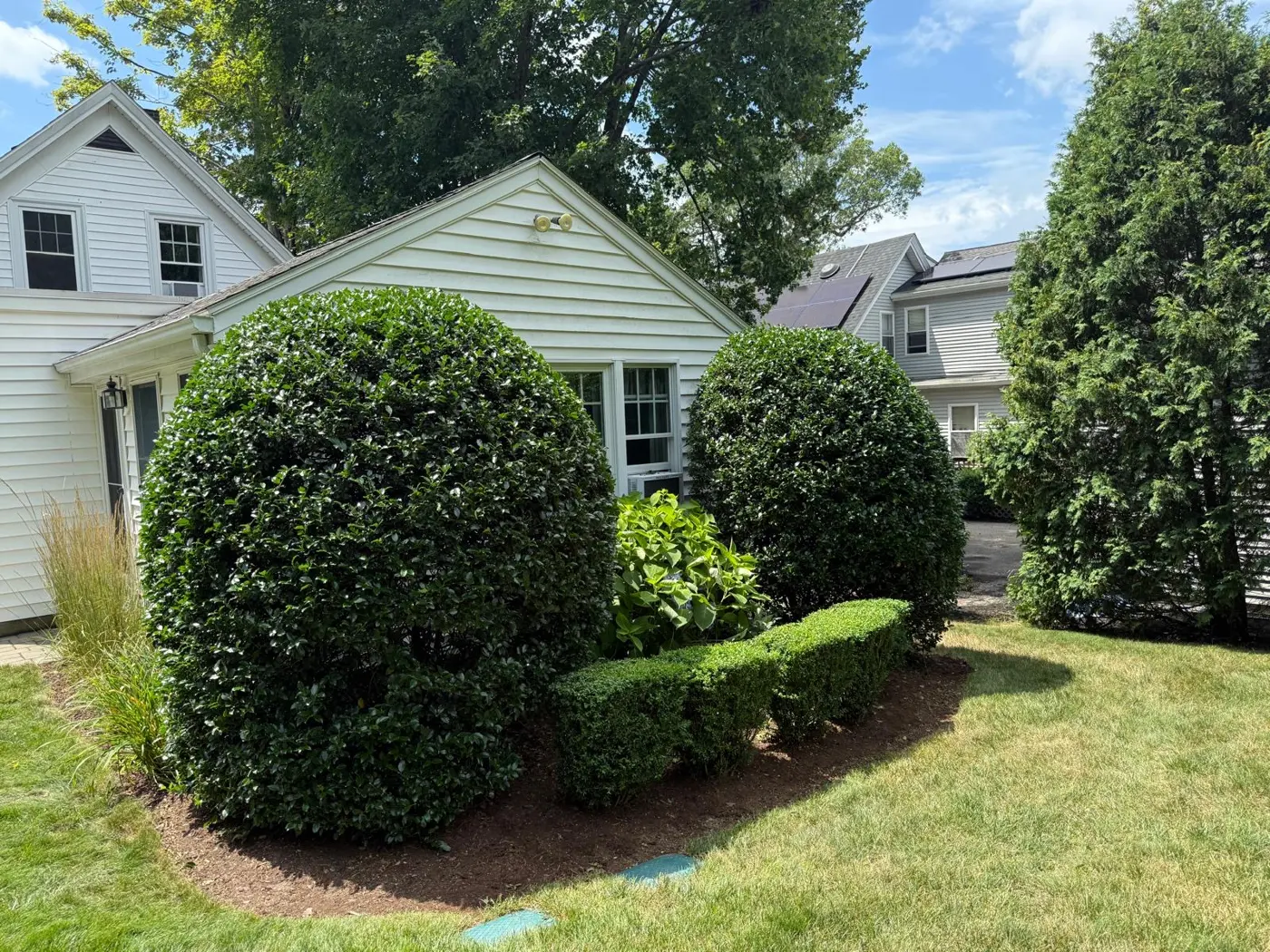 Landscaped front yard and mulch beds