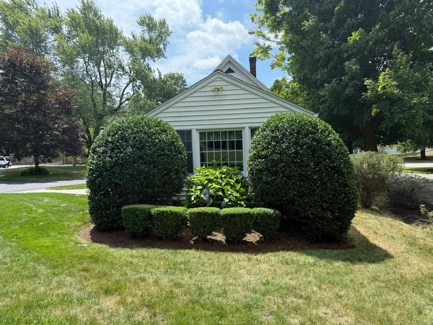 Trimmed shrubs and lawn